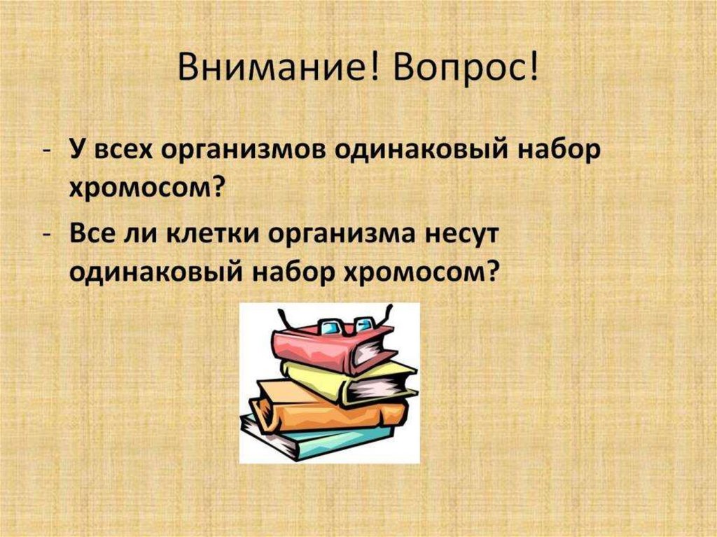 Внимание! Вопрос!