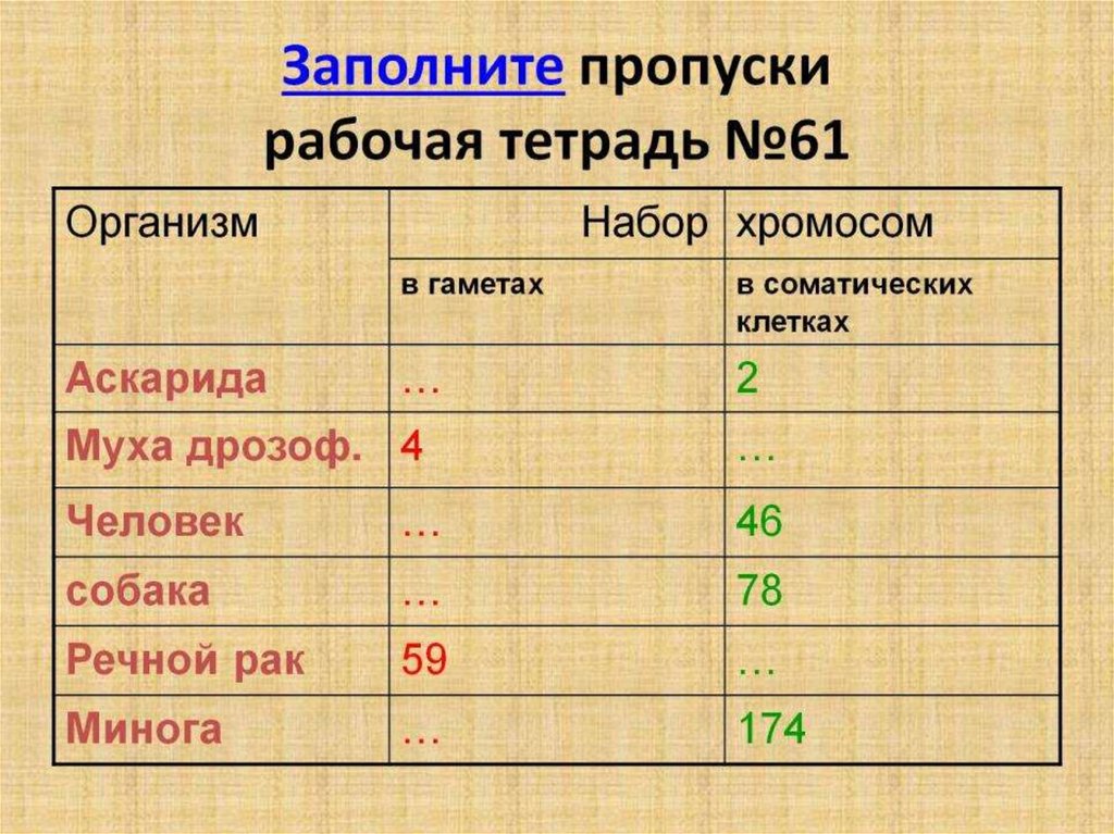 Заполните пропуски рабочая тетрадь №61