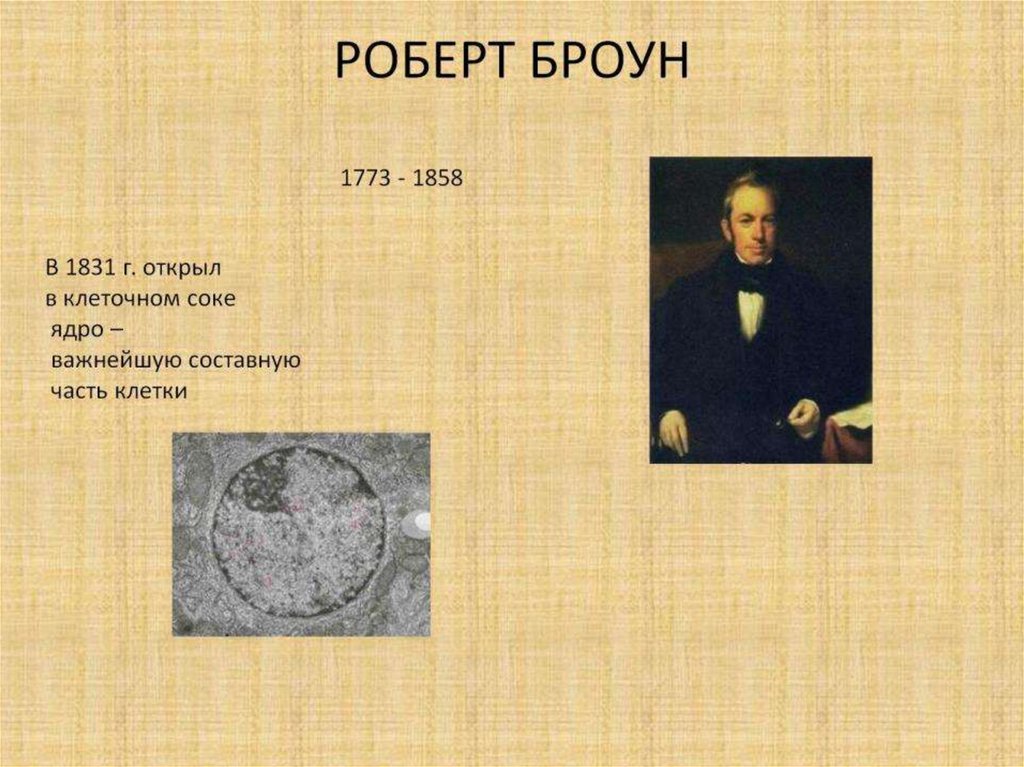 РОБЕРТ БРОУН