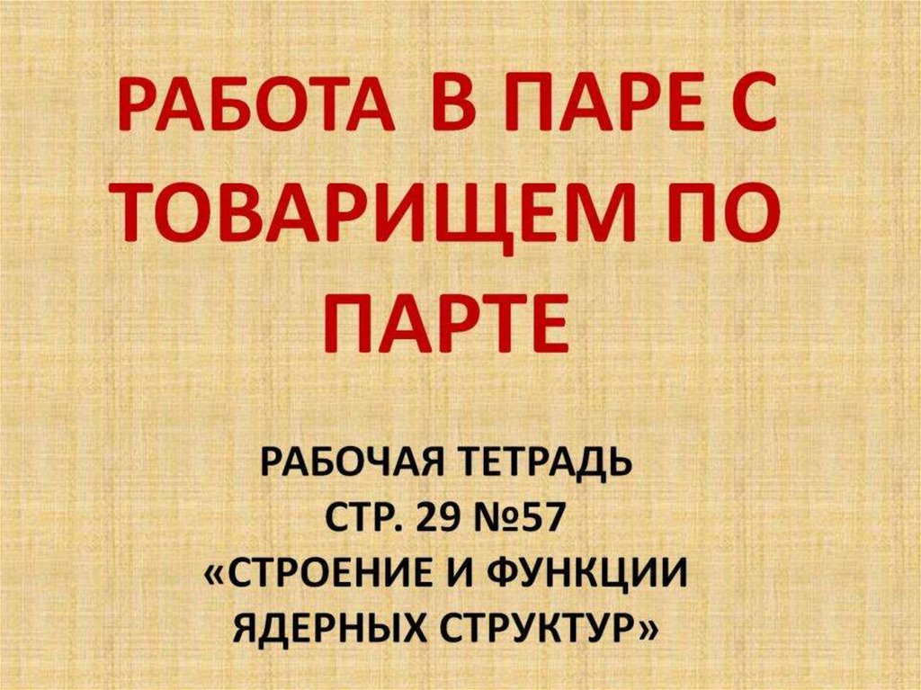 Работа в паре с товарищем по парте Рабочая тетрадь стр. 29 №57 «Строение и функции ядерных структур»