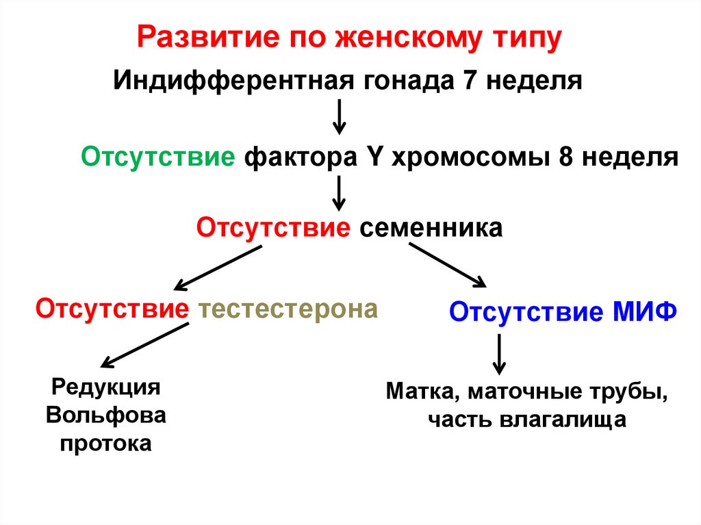 Понятие пол