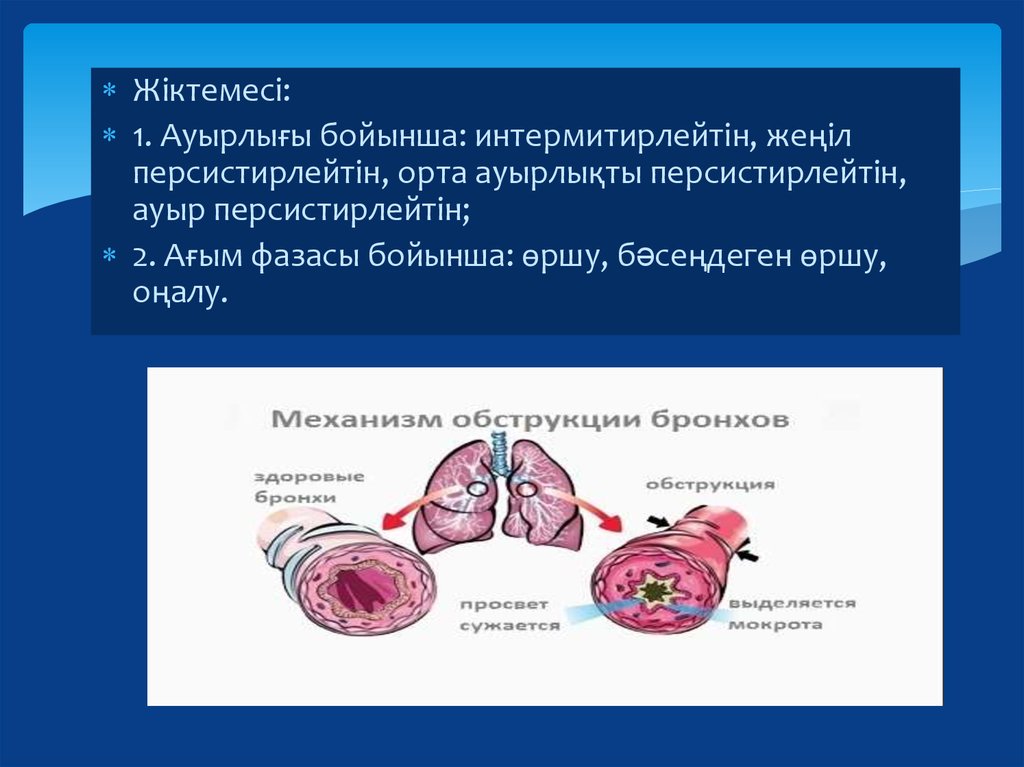 Бронх демікпесі презентация