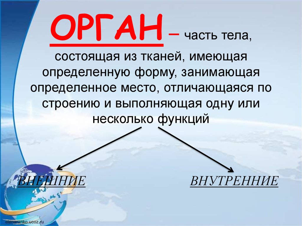 Компоненты организма