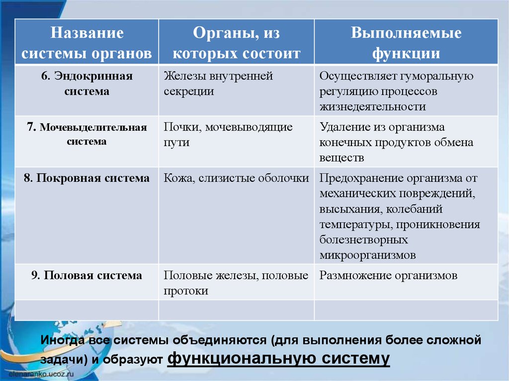 Презентация ткани органы и системы органов человека