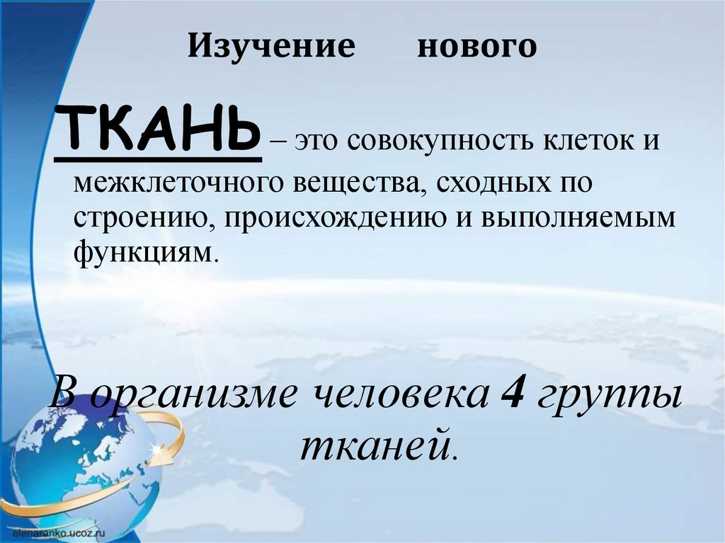 Компоненты организма. Совокупность клеток сходных по строению и выполняемым функциям. Ткань это совокупность. Что изучается тканевые.