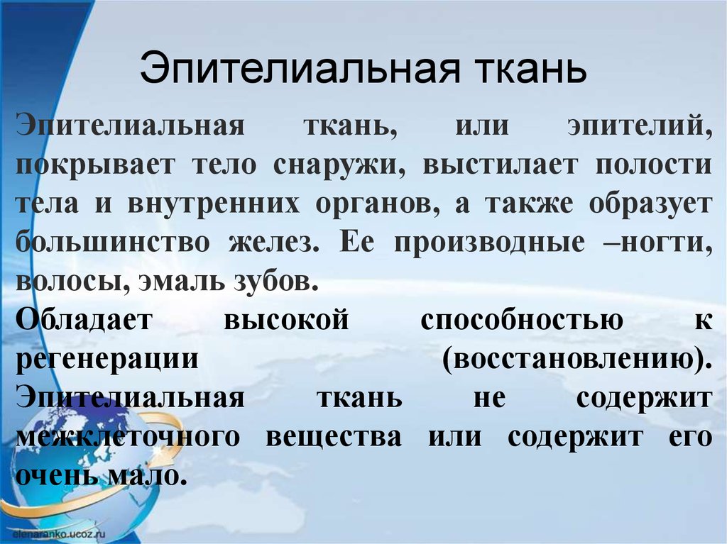 Компоненты организма. Внутренние органы выстилает какая ткань , а снаружи тело покрыто. Покрывает тело снаружи что это. Выстелавший или выстилавший.