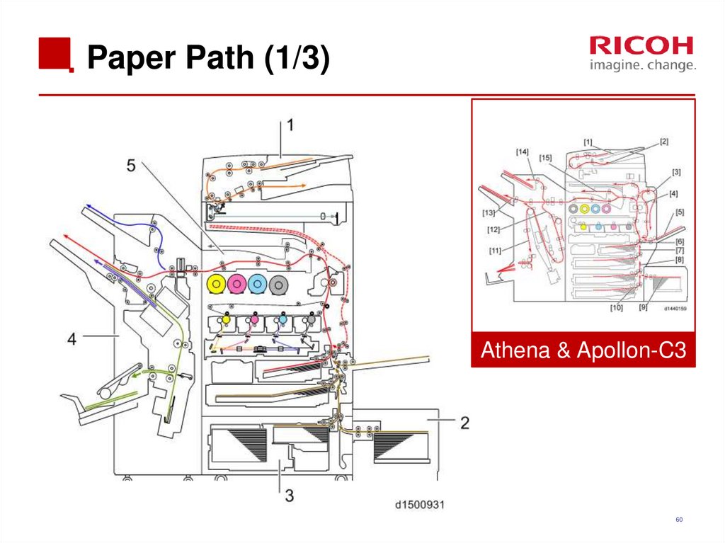 Paper Path (1/3)