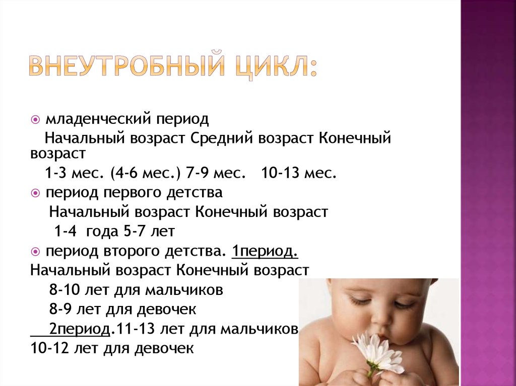 Внеутробный цикл: