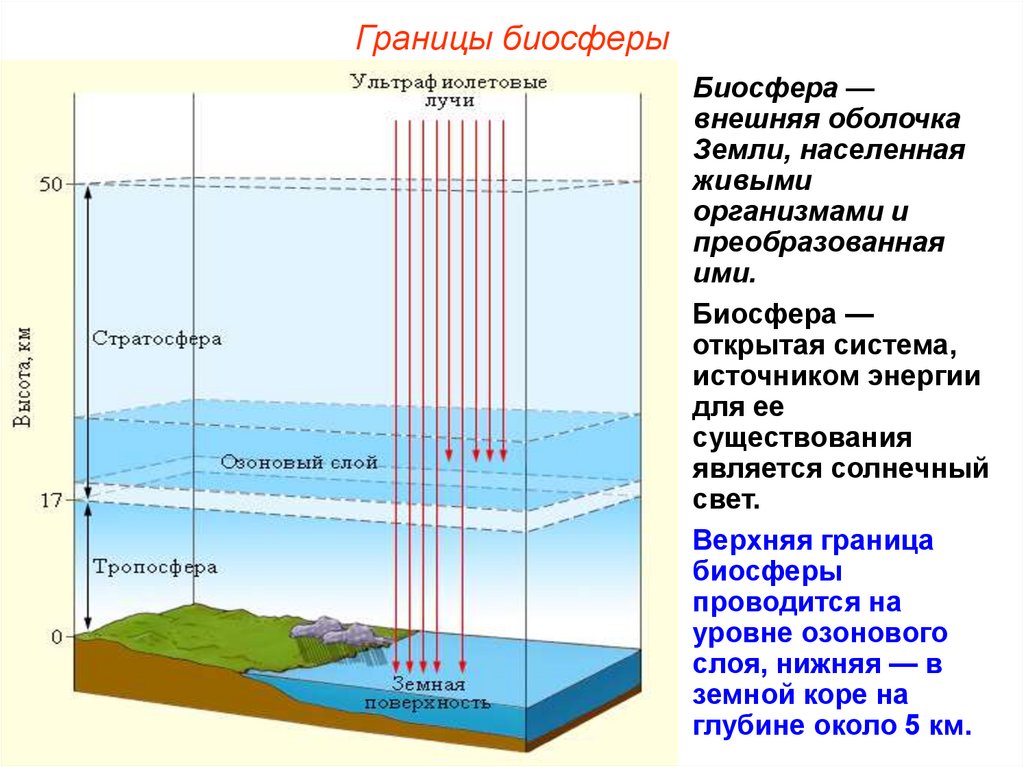 Биосфера живая оболочка земли 11 класс презентация