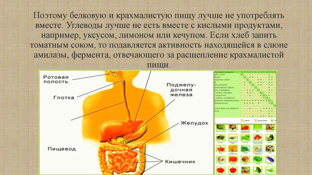 Что будет если не есть углеводы. Что будет если не употреблять углеводы. Где употребляются углеводы. Что будет если не есть углеводы вообще. Сочетание кислых продуктов с углеводами.