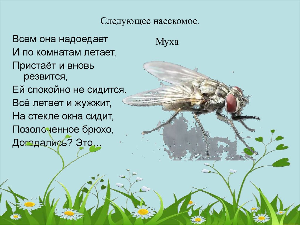 Следующие насекомые. Красота мира насекомых презентация. Как летают насекомые презентация. Презентация насекомые Крыма для дошкольников. Вес различных насекомых.