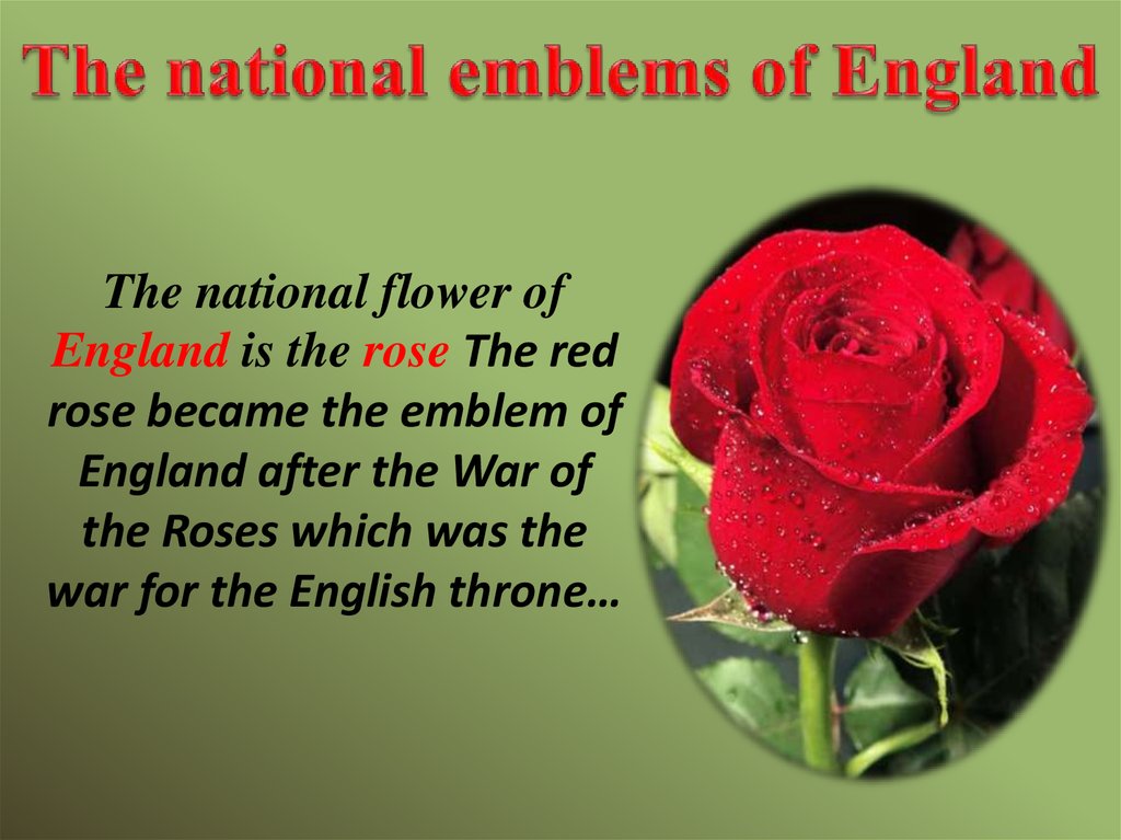 The emblem of england. National Emblem of England. What is the National Emblem of England. Red Rose is the National Emblem of England.. Name the National Emblem of England.