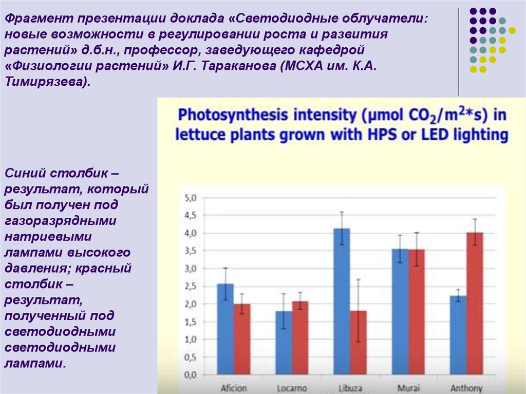 Фрагмент презентации