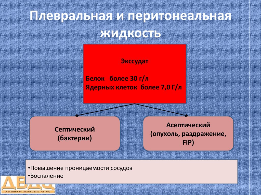 Выпотные жидкости презентация