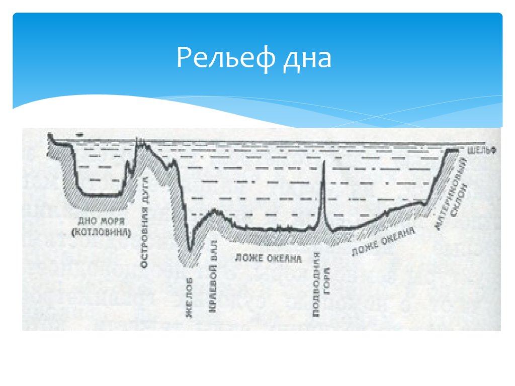 Соотнеси элементы рельефа дна океана с точками на изображении