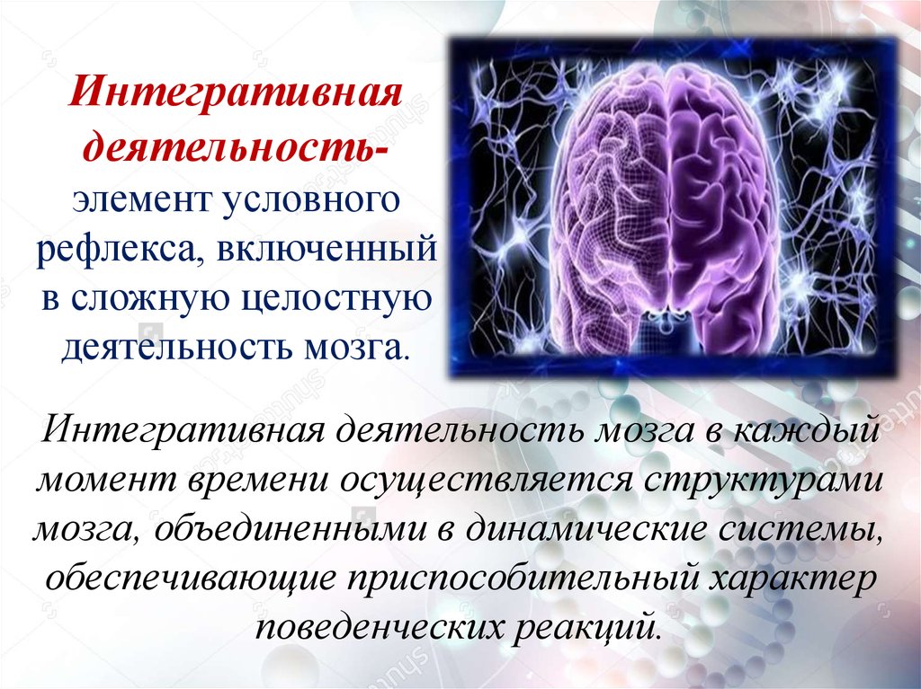 Рефлекторная деятельность головного мозга. Интегративная деятельность мозга. Роль головного мозга в интегративной деятельности ЦНС.. Интегративная функция головного мозга. Интегративные механизмы головного мозга.