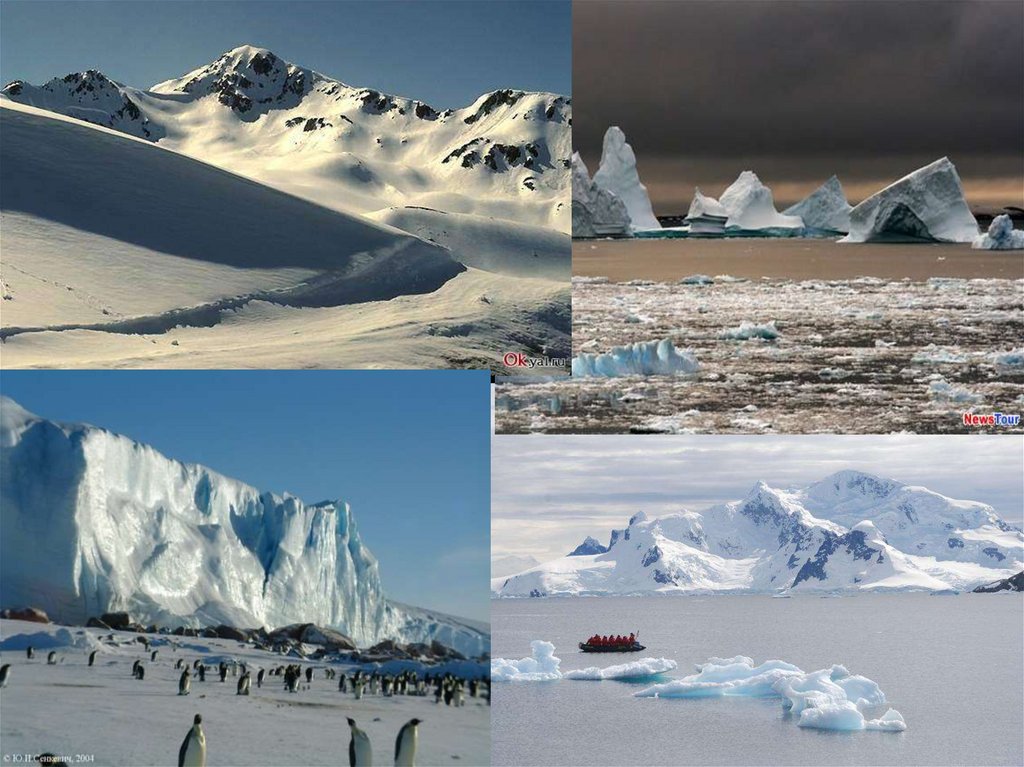 Антарктическое время. Ледниковый рельеф Антарктиды. Мак-Мердо Антарктида айсберги. Плоскогорья Антарктиды. Шельфовый ледник Мак-мёрдо.