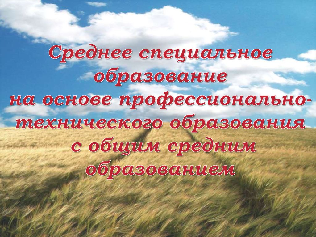 Среднее специальное образование на основе профессионально-технического образования с общим средним образованием