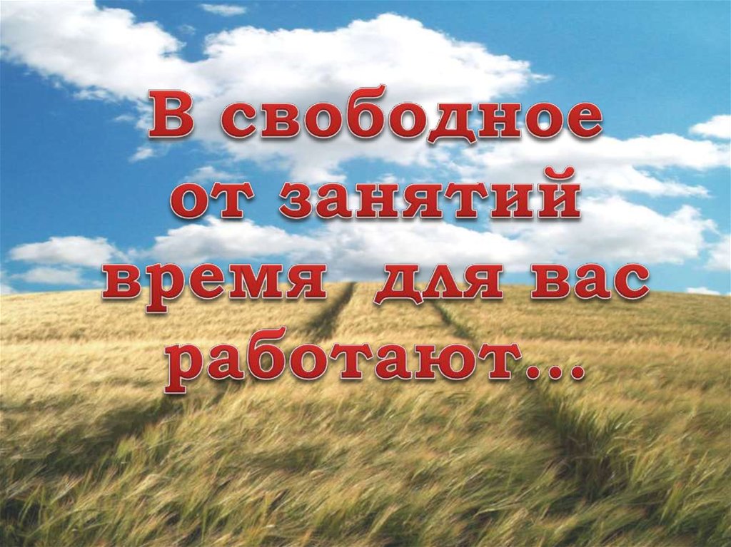 В свободное от занятий время для вас работают…