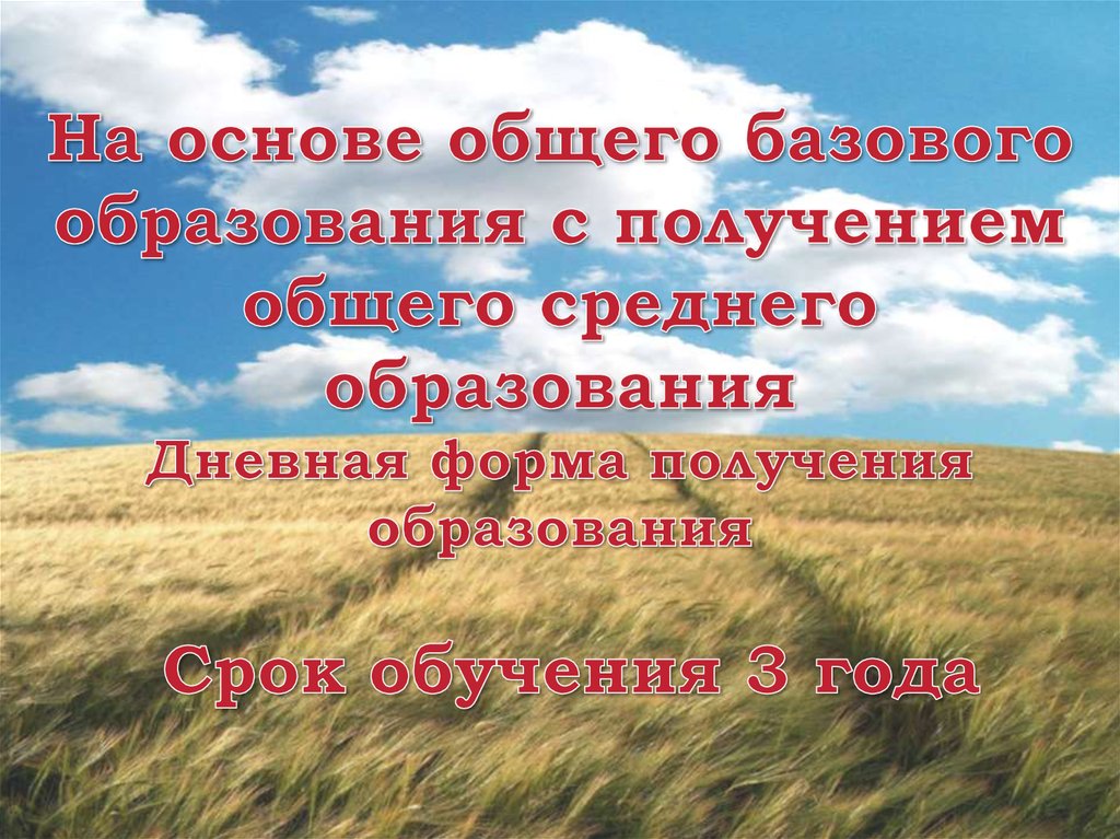 На основе общего базового образования с получением общего среднего образования Дневная форма получения образования Срок