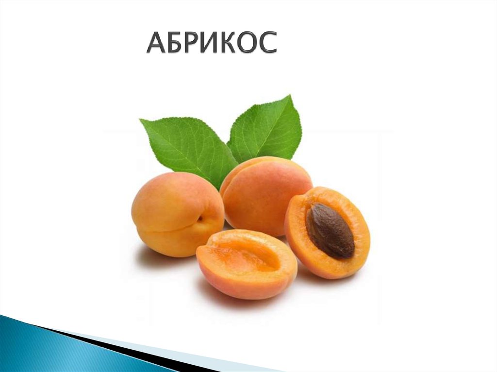 АБРИКОС