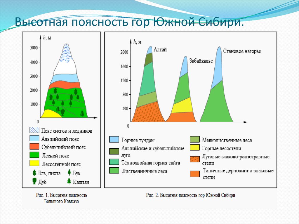 Природные зоны урала таблица. Крымские горы Высотная поясность схема. Высотнык поясакрымских гор. Высотная поясность горы Южной Сибири схема. Пояс гор Южной Сибири Высотная поясность.
