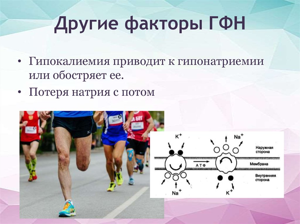 Гфн. Дополнительные усилия для презентации. Главная фаза нефтеобразования. ГФН для презентаций нормальный. ГФН фольсоп.