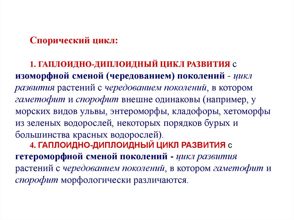 Цикл поколений. Изоморфные поколения. Жизненный цикл с чередованием гетероморфных поколений. Цикл смены поколений. Цикличность поколений.