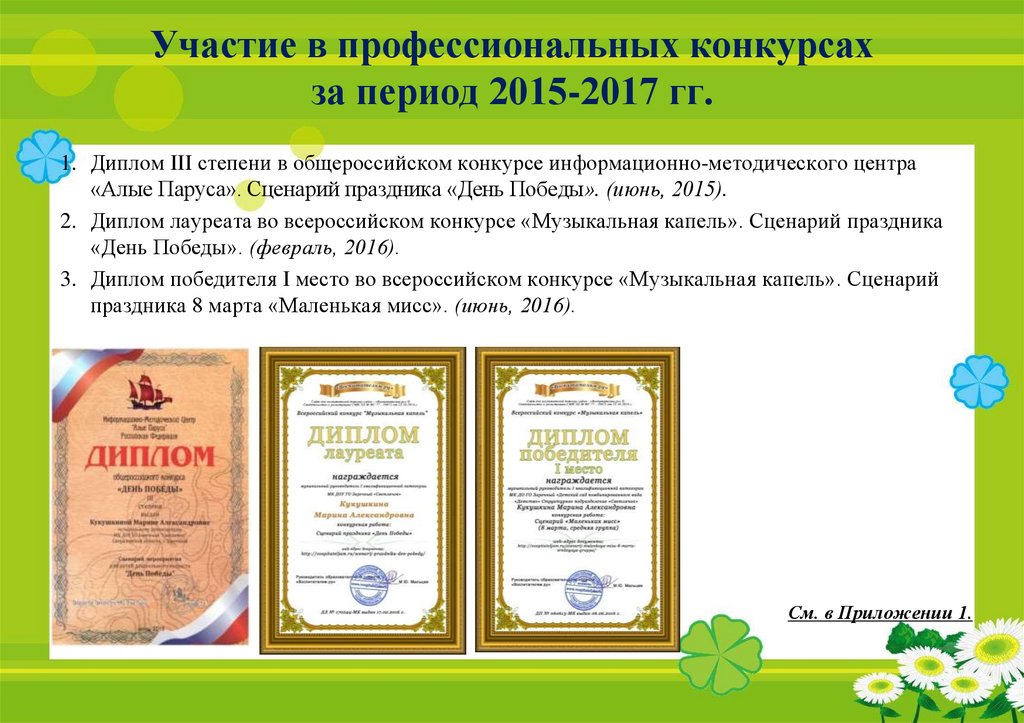 Участие в профессиональных конкурсах за период 2015-2017 гг.
