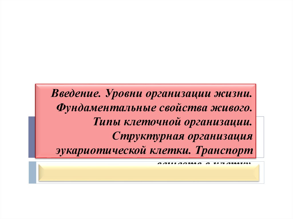 Живой тип. Уровни введения.