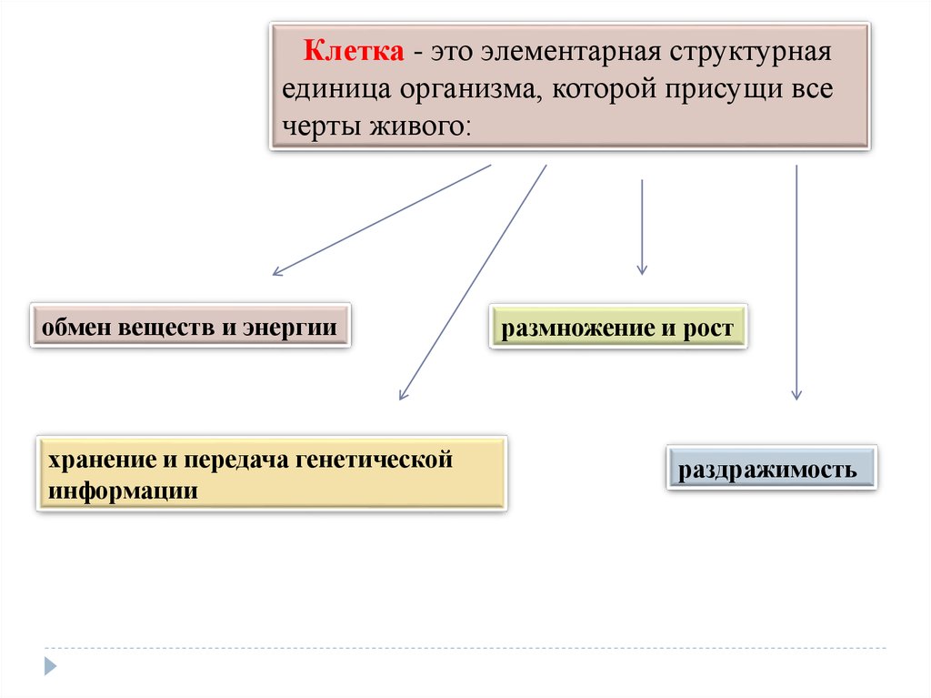 Структурная единица живого считают. Элементарная структура единицы организма. Элементарная структурная единица. Элементарная структурная единица жизни это. Основная элементарная структурная единица организма.