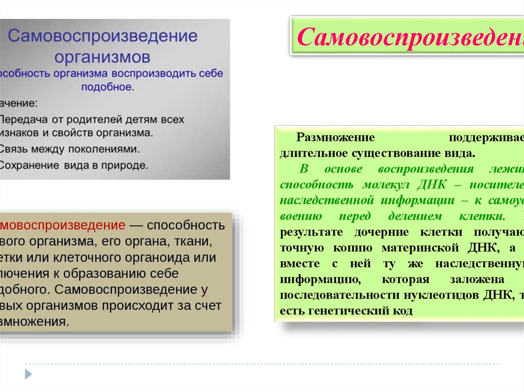 Воспроизводство организмами себе подобных