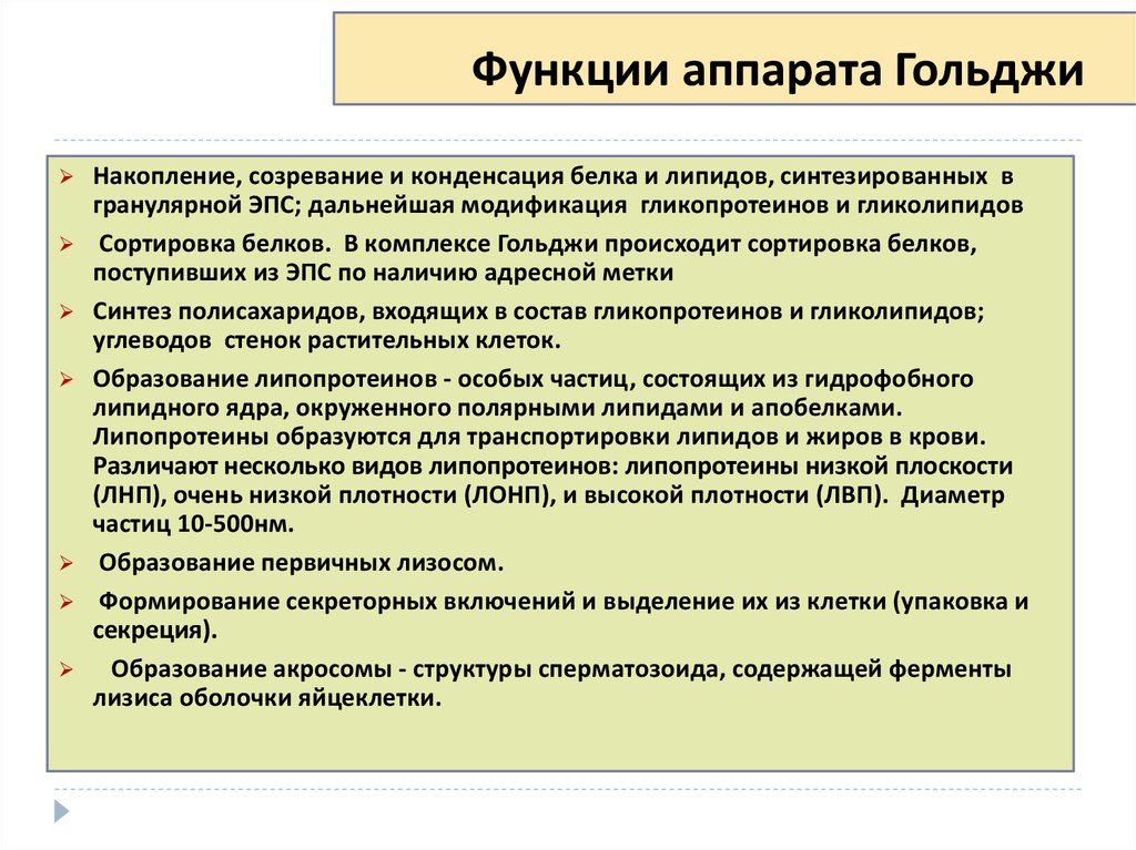 Функции аппарата