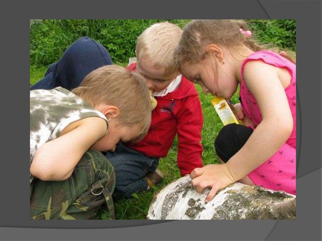 Знакомство детей с природой. Дети наблюдают за природой. Ддетти наблюдают за природой. Дети изучают природу. Дети наблюдают за природой в детском саду.