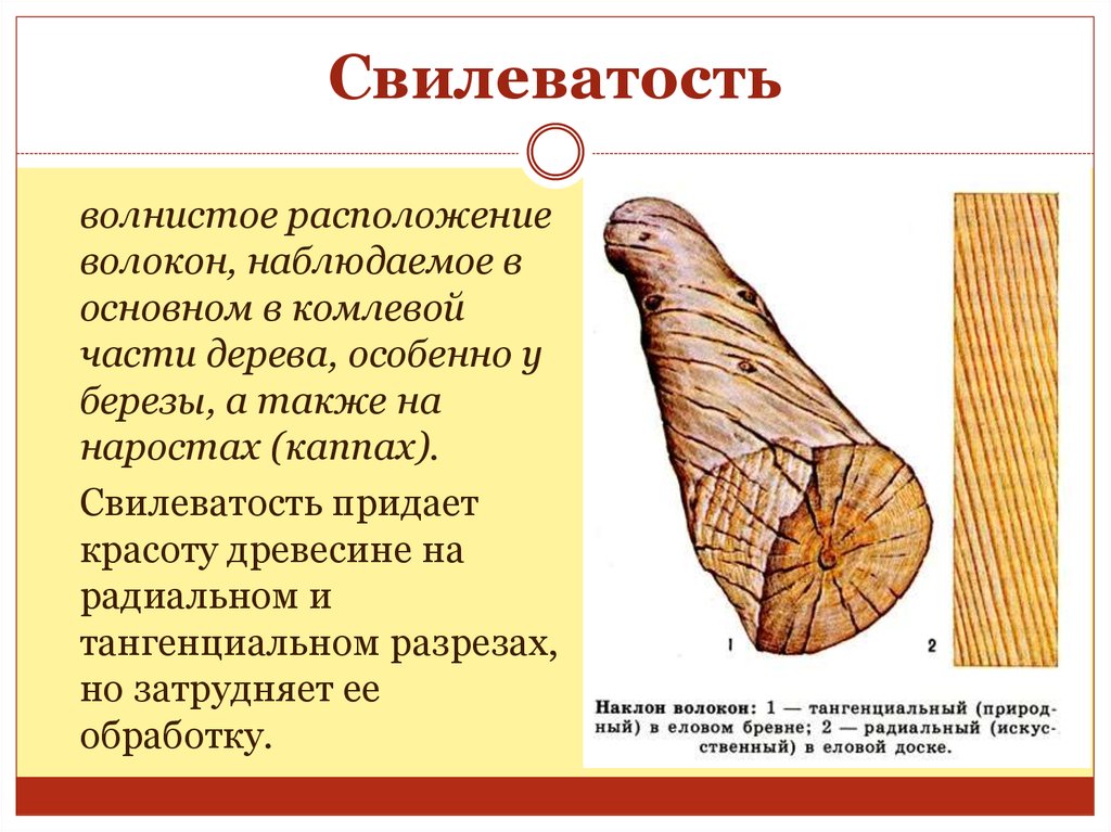 Заготовка древесины пороки древесины лесоматериалы презентация