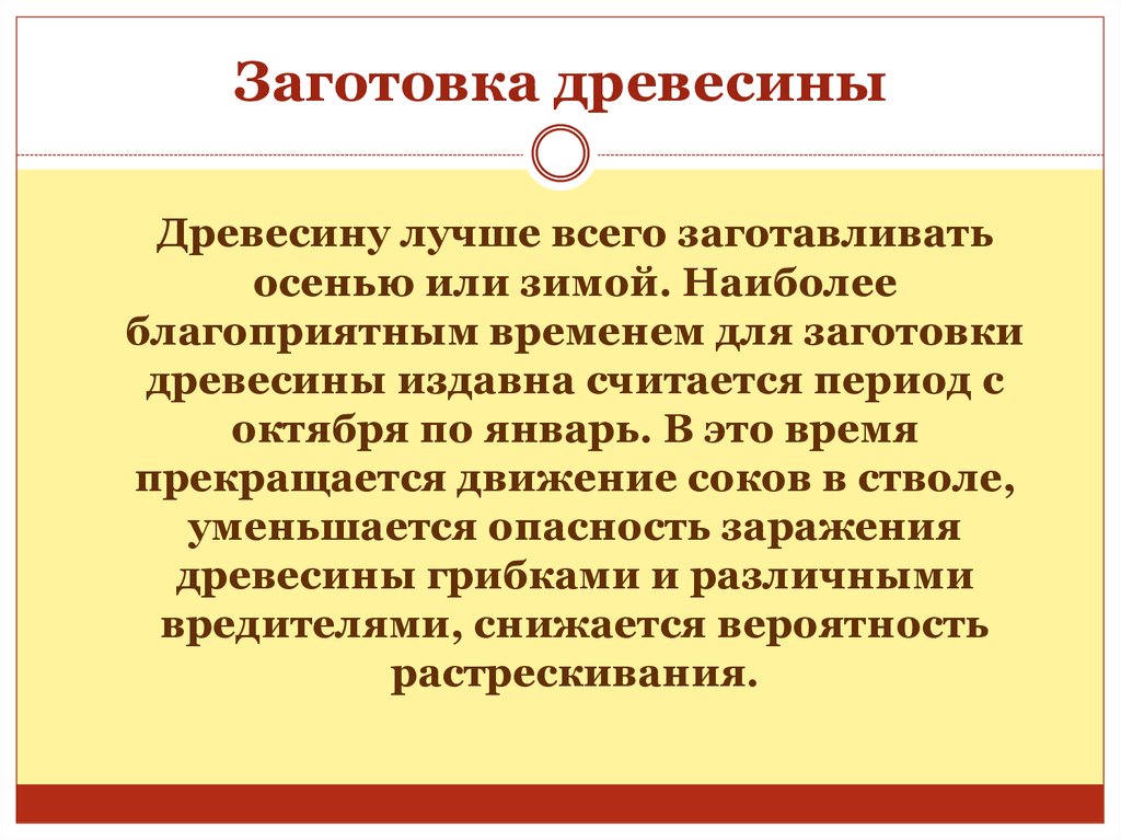 Сроки заготовки. Заготовка древесины её пороки и выбор для изготовления изделий. Косослой фото.