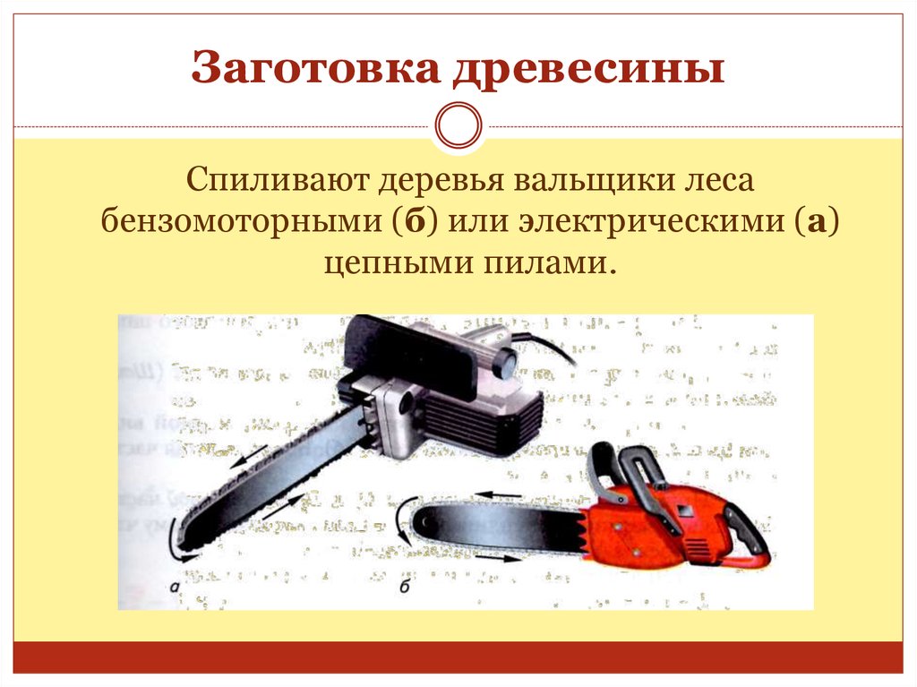 Правила заготовки древесины. Способы заготовки древесины. Сообщение про заготовку древесины. Процесс заготовки древесины схема. Заготовка древесины 7 класс.