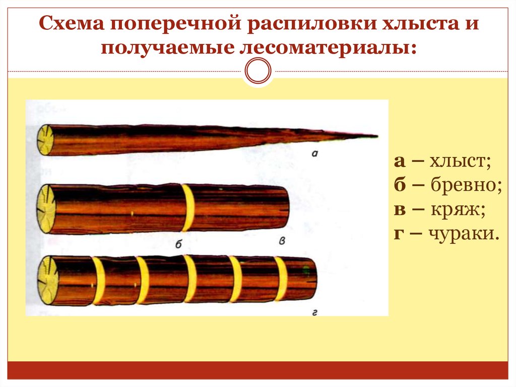 Заготовка древесины пороки древесины лесоматериалы презентация