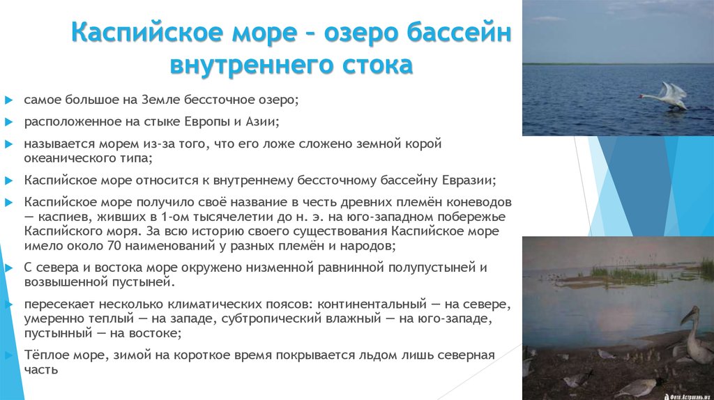 План описания географического положения моря каспийское море