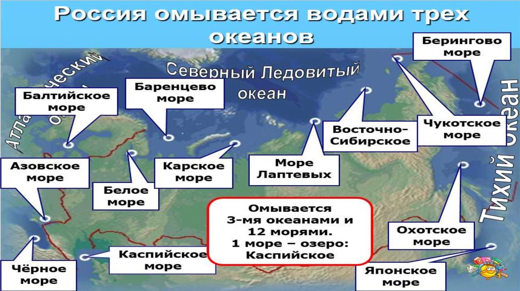 Океан омывающий россию на востоке. Моря омывающие Россию. Сколькими морями омывается Россия.
