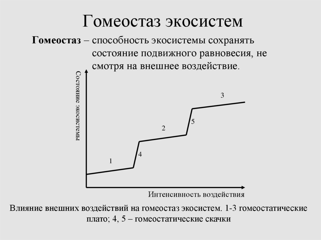 Гомеостаз экосистемы презентация