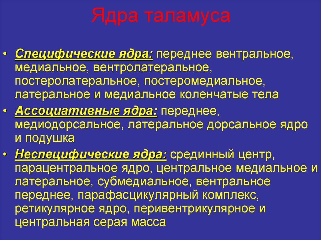 Общее ядро. Основные функции ядер таламуса таблица. Специфические ядра таламуса функции. Функциональная классификация ядер таламуса. Классификация ядер таламуса физиология.