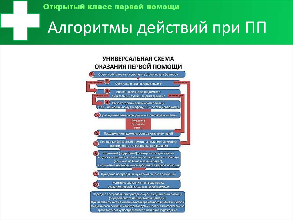 Алгоритм действий 1. Алгоритм действий 1 класс. Алгоритм действий при ПП. Алгоритм при ПП. Алгоритм ПП при аш.