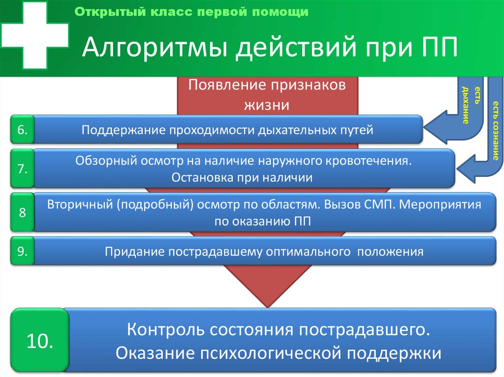 Алгоритм оказания пп