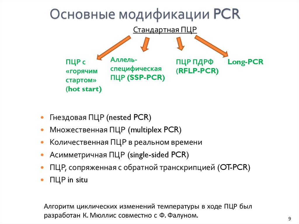 Полимеразная цепная реакция результат. PCR — полимеразная цепная реакция. Модификация полимеразной цепной реакции.. Этапы ПЦР. Модификации ПЦР.