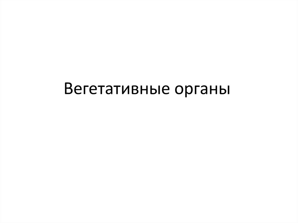 Вегетативные органы