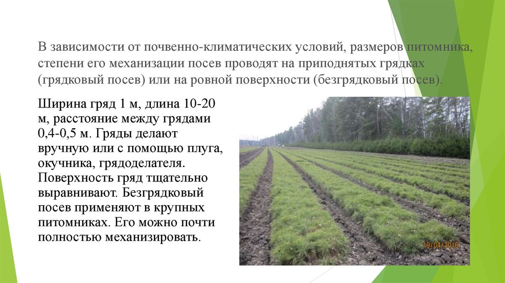 Почвенно растительные условия. Отдел размножения питомника. Почвенно-климатические условия. Грядковые посевы. Механизация работ при выращивании посадочного материала.