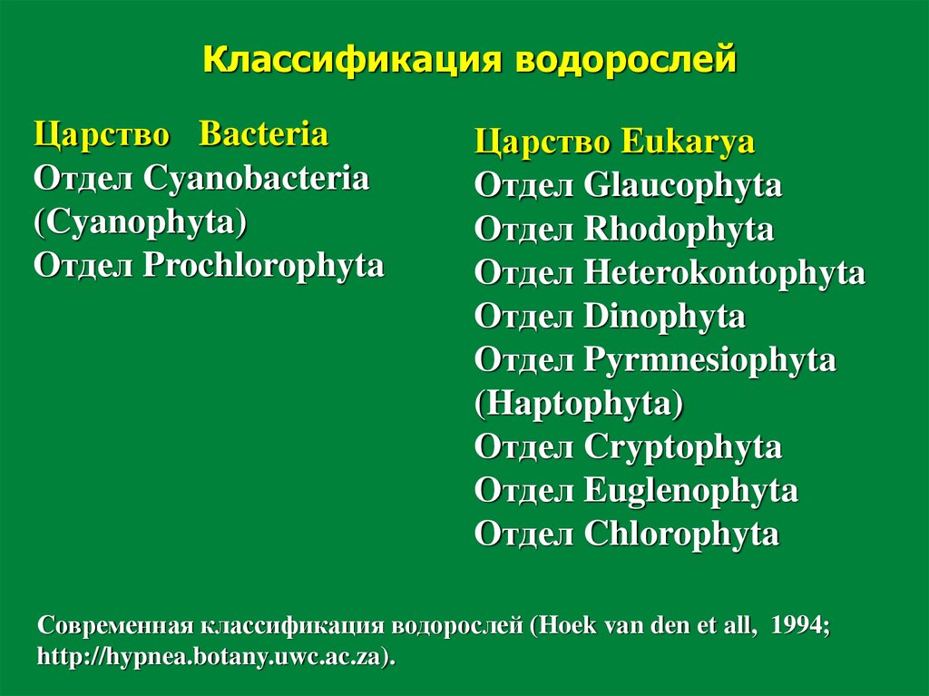 Современная систематика водорослей. Классификация водорослей. Систематика водорослей. Систематическая классификация водорослей. Современная классификация водорослей.