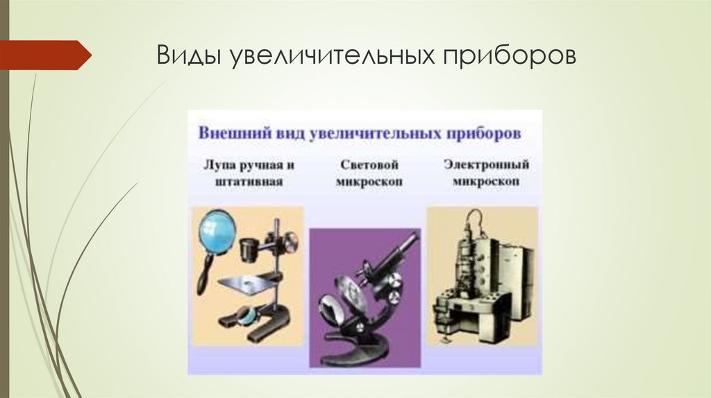 Презентация на тему увеличительные приборы 5 класс