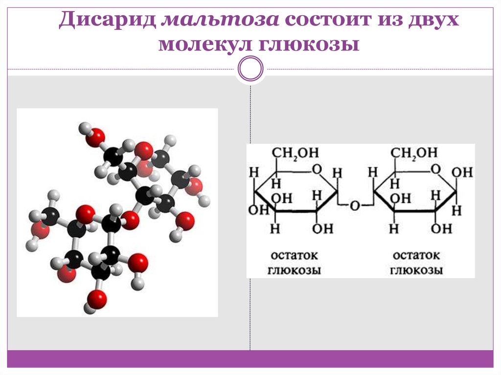 Состоят из остатков молекул. Мальтоза  строение молекулы (структурная формула). Химическая формула мальтозы. Молекула мальтозы состоит из. Мальтоза состоит из.